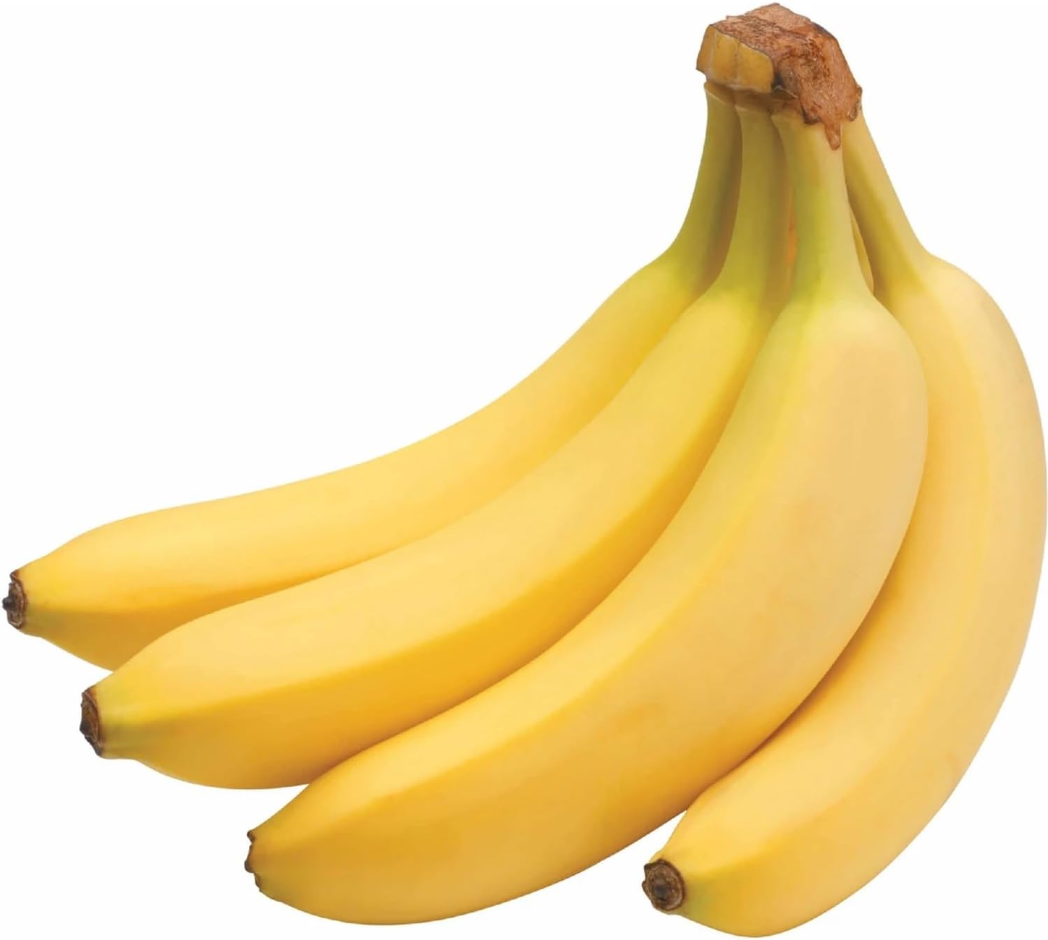 Gros-Michel bananas, bunch of three ripe yellow bananas with brown stems