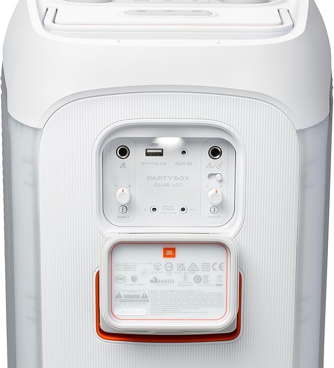 White JBL portable Bluetooth speaker rear port panel with cable inputs and labels
