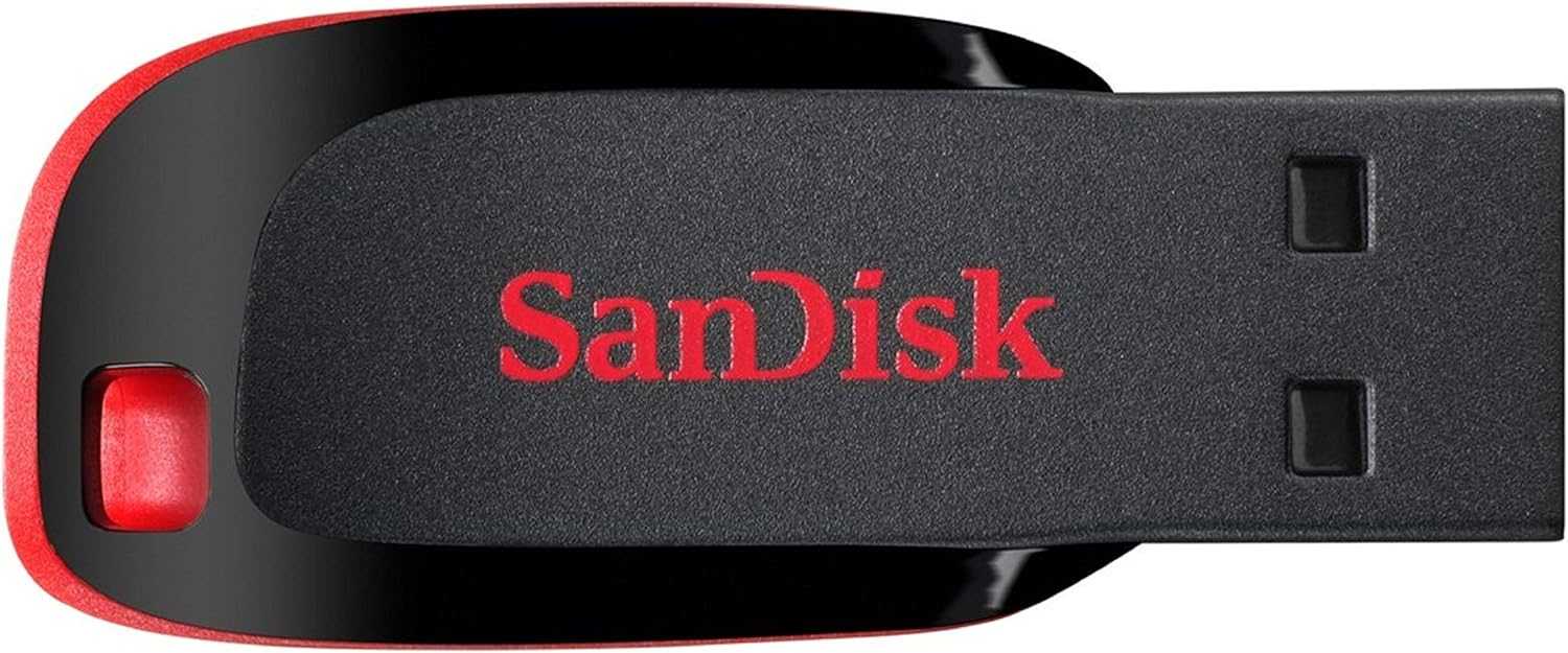 SanDisk USB flash drive close-up, black body with red edge and connector openings
