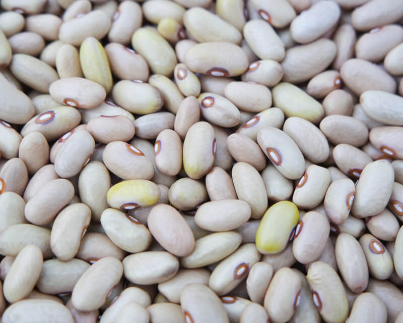 White dry beans, assorted oval shapes with small brown spots