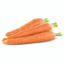 Fresh orange carrots with green tops, bundled