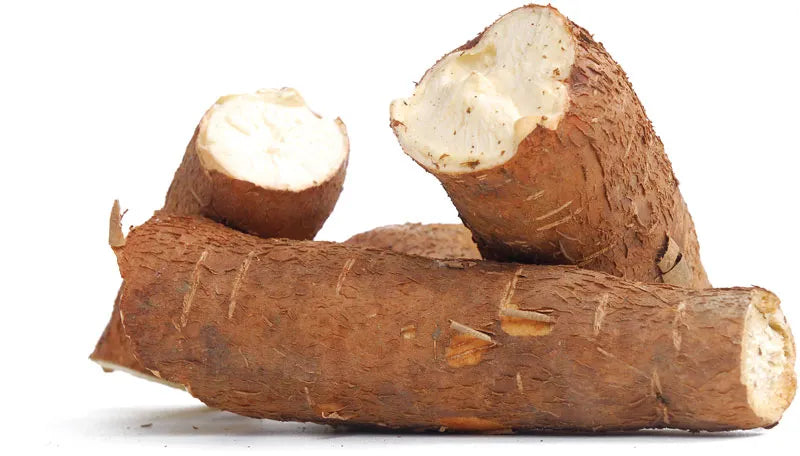 Cassava roots cut into chunks, fresh brown skin and pale interior
