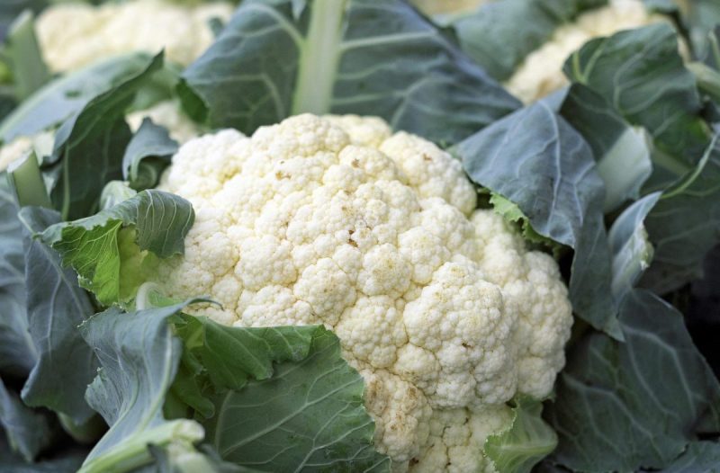 Whole cauliflower head with green leaves, fresh vegetable