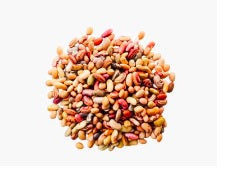 Mixed fresh beans pile, assortment of small dried pods and seeds