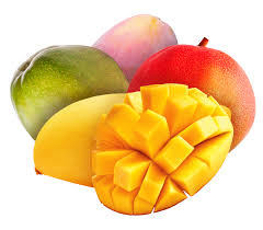 Mango fruit with cut pieces and diced segments