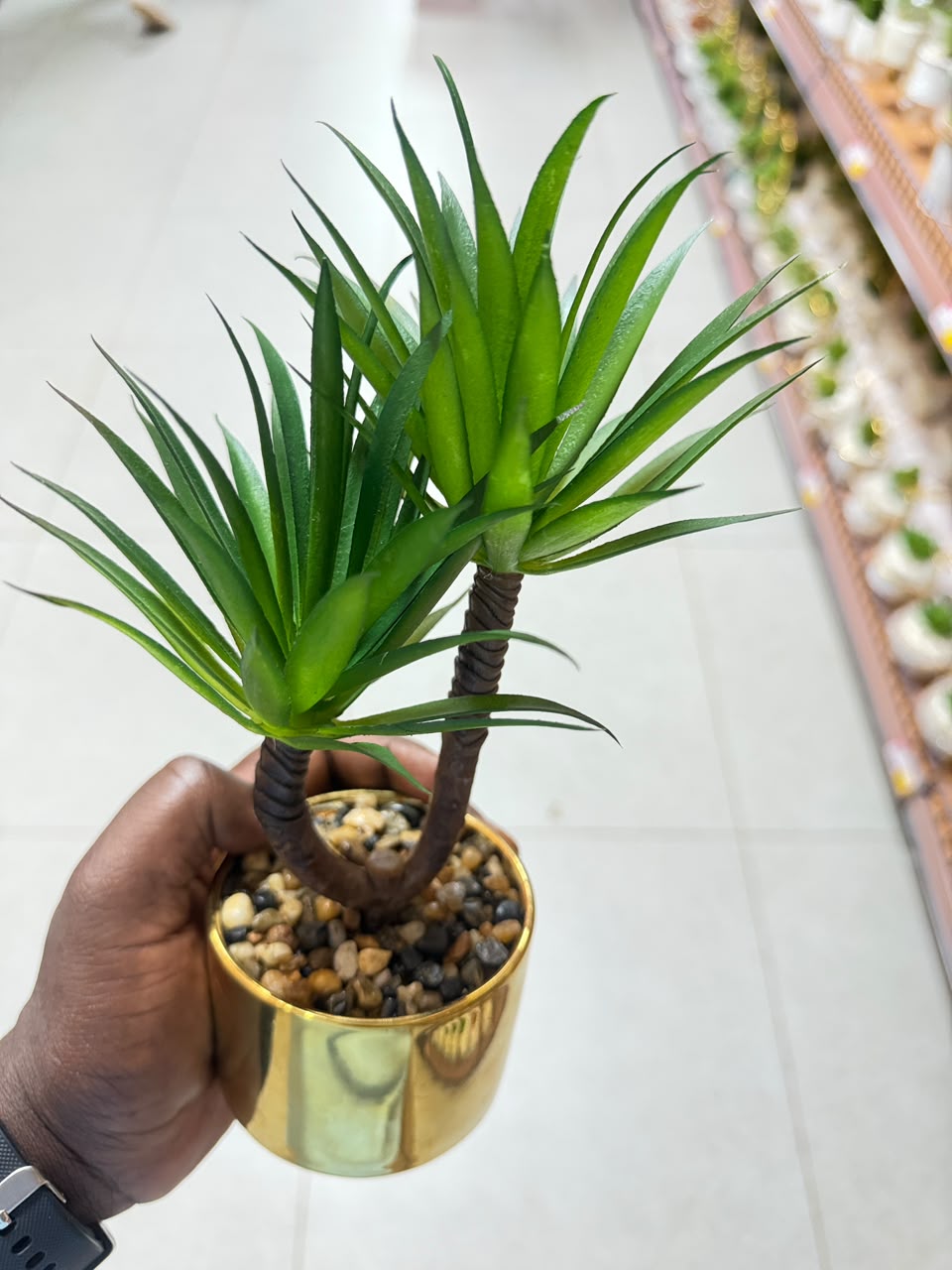 Mini artificial yucca plant with spiky green leaves in gold pot with pebbles
