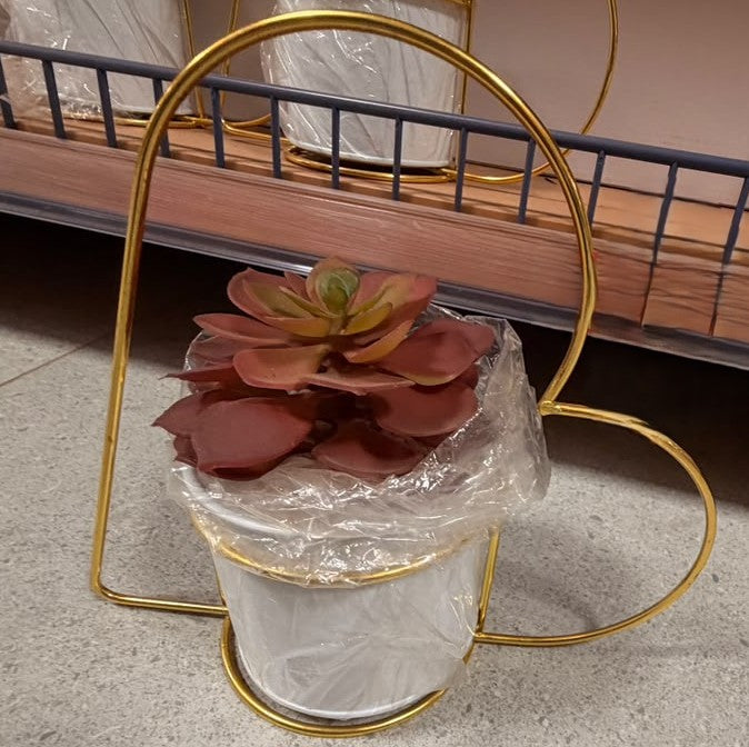 Artificial echeveria succulent with red-brown rosette in a white wrapped pot