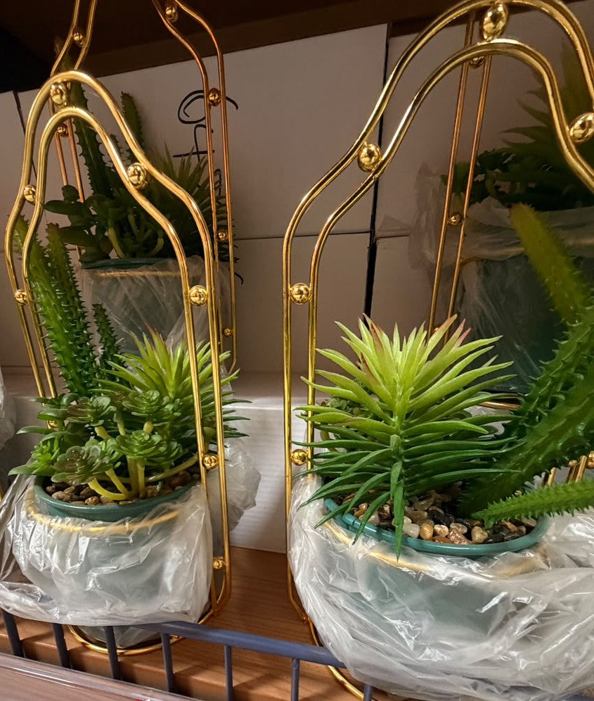 Gold arched mini decorative planters with small green succulents in round pots