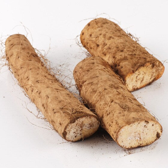 Ibikoro root tubers, sliced cylindrical pieces with fibrous light-brown texture